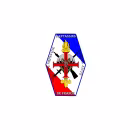 Logo de Fantassins de France