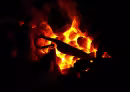 Logo de Repro-Archeo