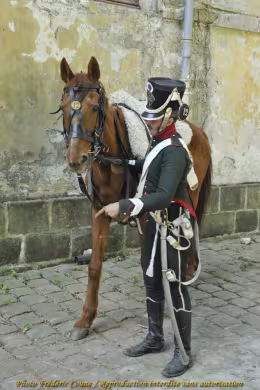 Photo 1 de Les chevaux de la Grande Armée