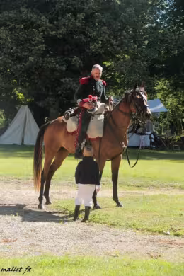 Photo 4 de Les chevaux de la Grande Armée