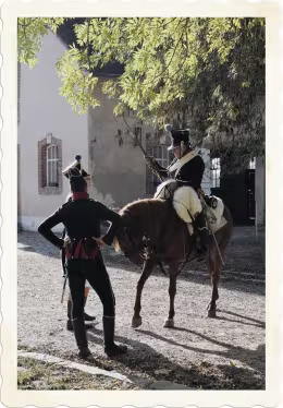 Photo 5 de Les chevaux de la Grande Armée