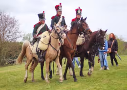 Photo 7 de Les chevaux de la Grande Armée