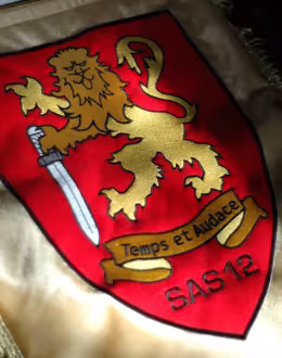 Logo de SAS 12